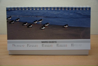 bilde.torvastadarena