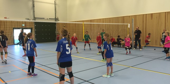 Minivolleyball nivå 2 og 3